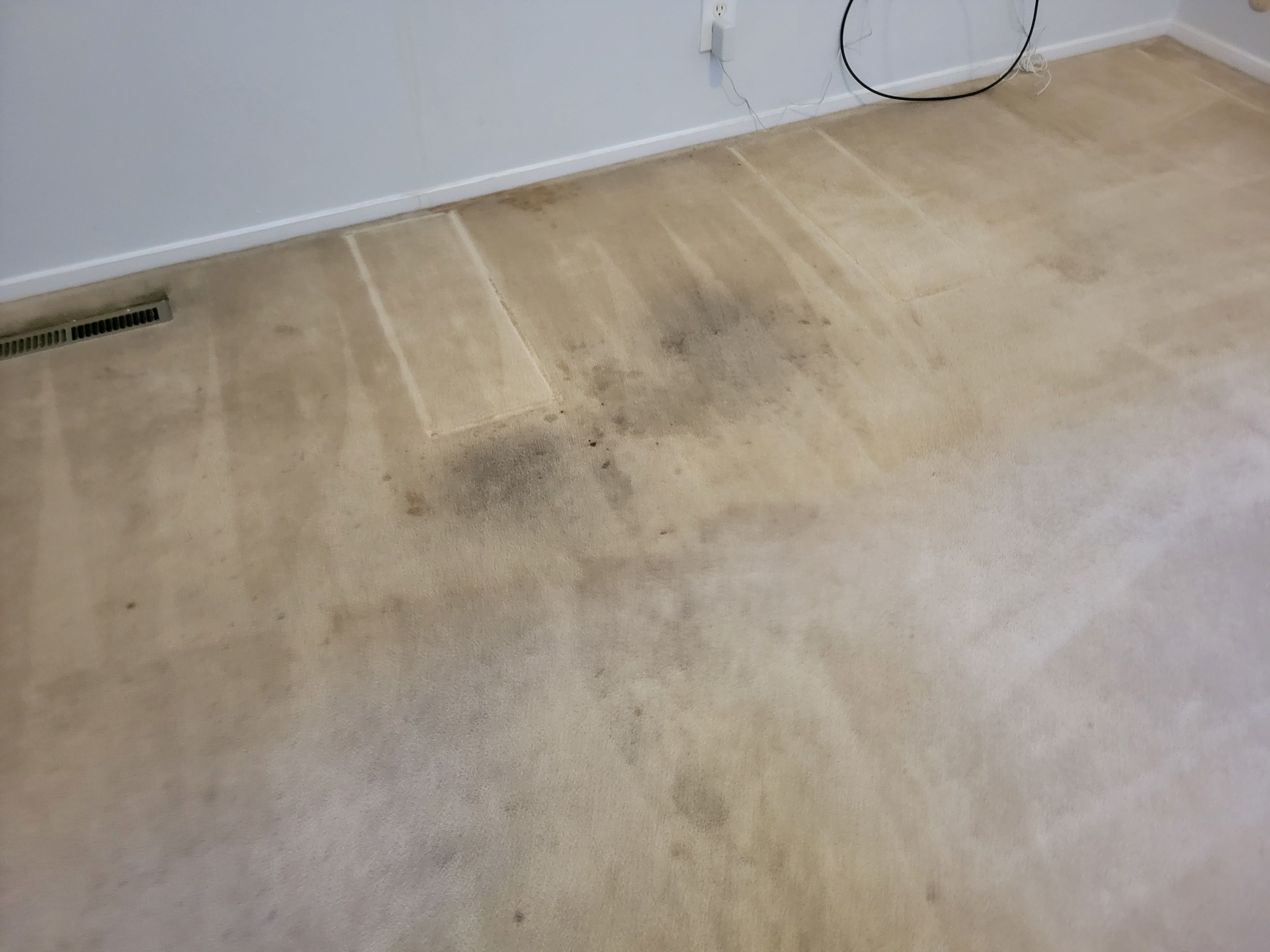 Carpet Re-stretching and Cleaning by Ardent Carpet Restore LLC