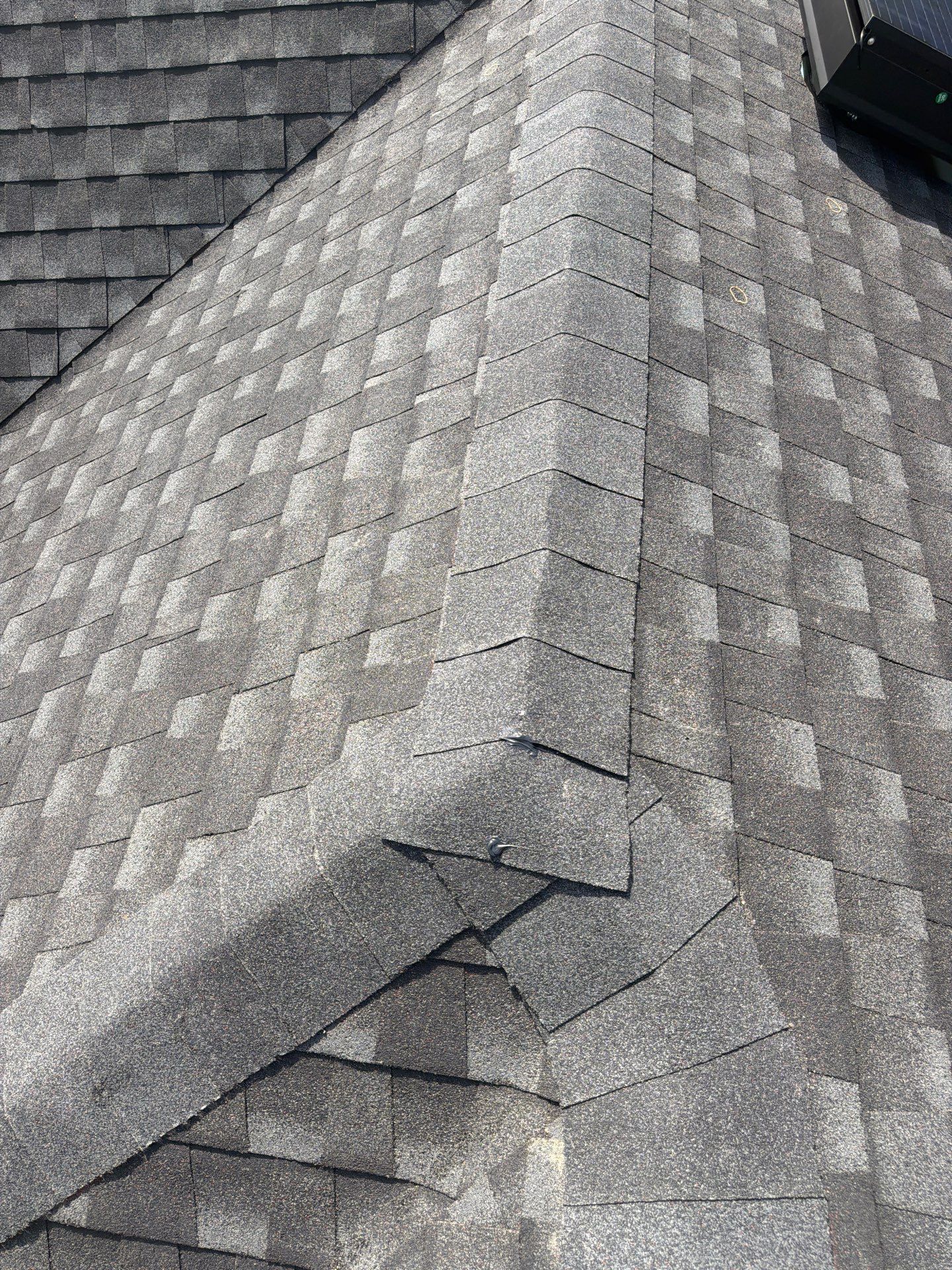 David M by Boss Hogg Roofing