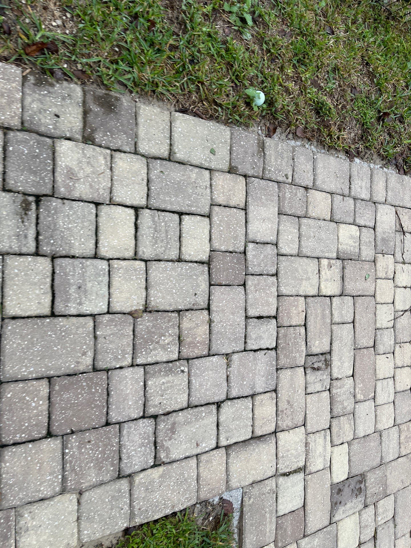 Pavers using Concrete Sealant and PolySand by DuraSeal