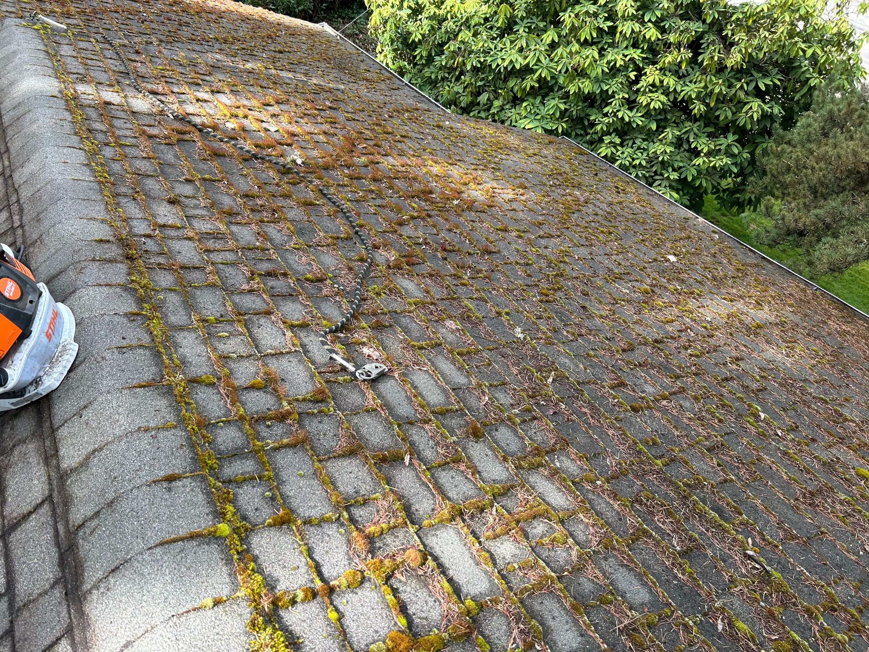 Roof Maintenance in West Linn by Prodigy Roof Solutions