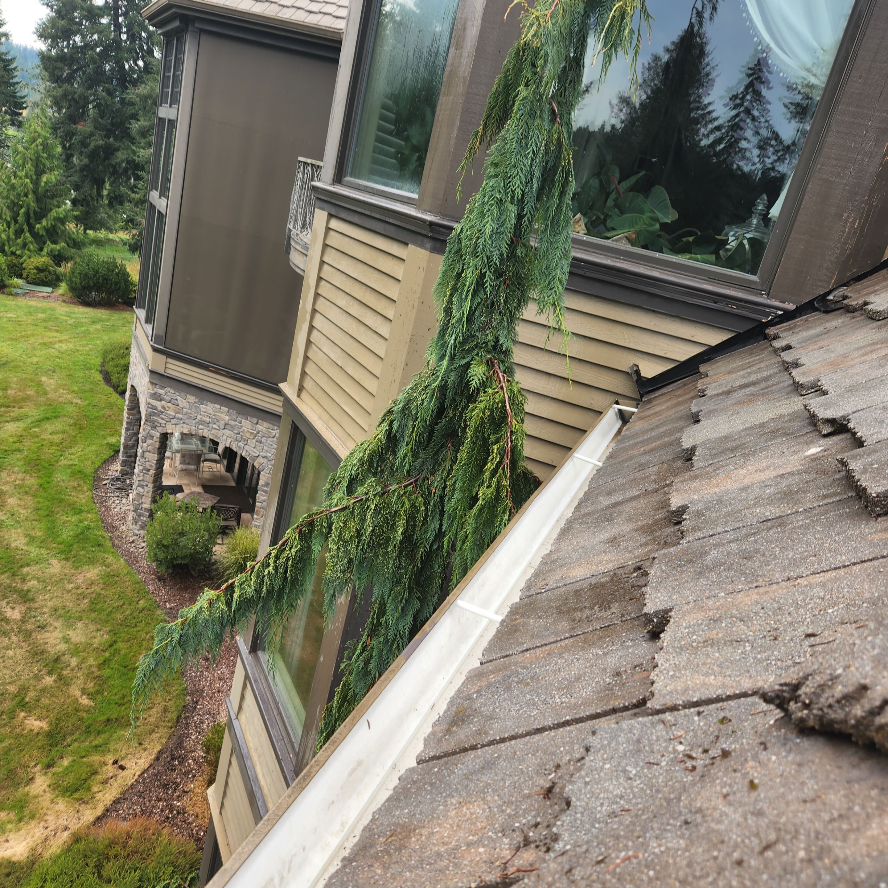 Moss Removal/ Treatment using Biocide by Willamette Outdoor Wash LLC