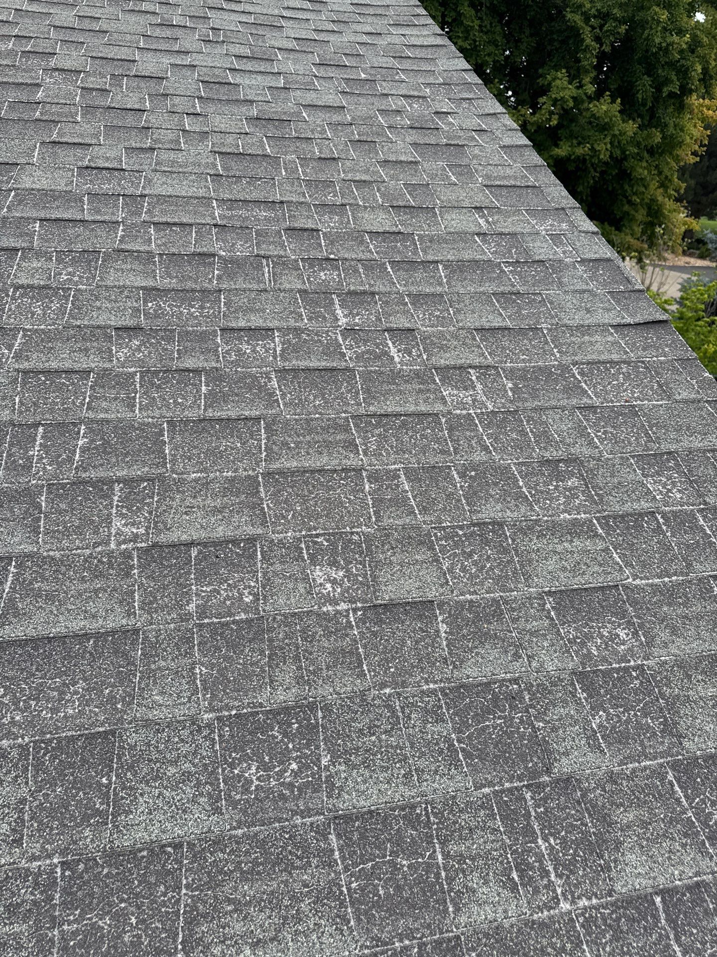 Residential Roof Replacement with Architectural Shingles in Payette, Idaho by Olive Roofing