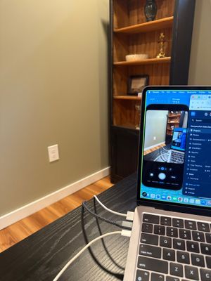 Lincoln Home Office Renovation with Sage Walls and Wood-Look Flooring