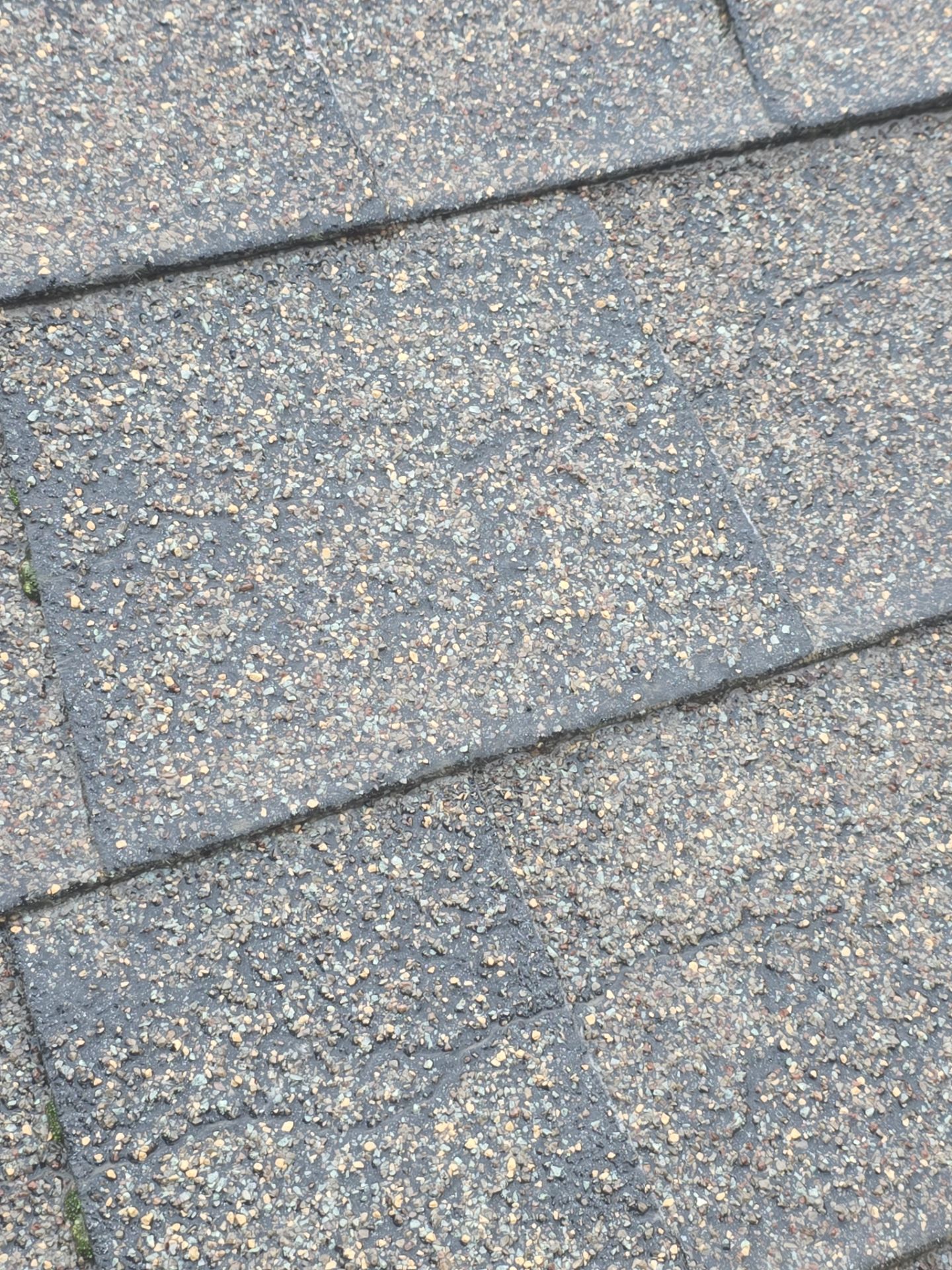Roof Rejuvenation using Roof Maxx Treatment by Roof Maxx of Folsom