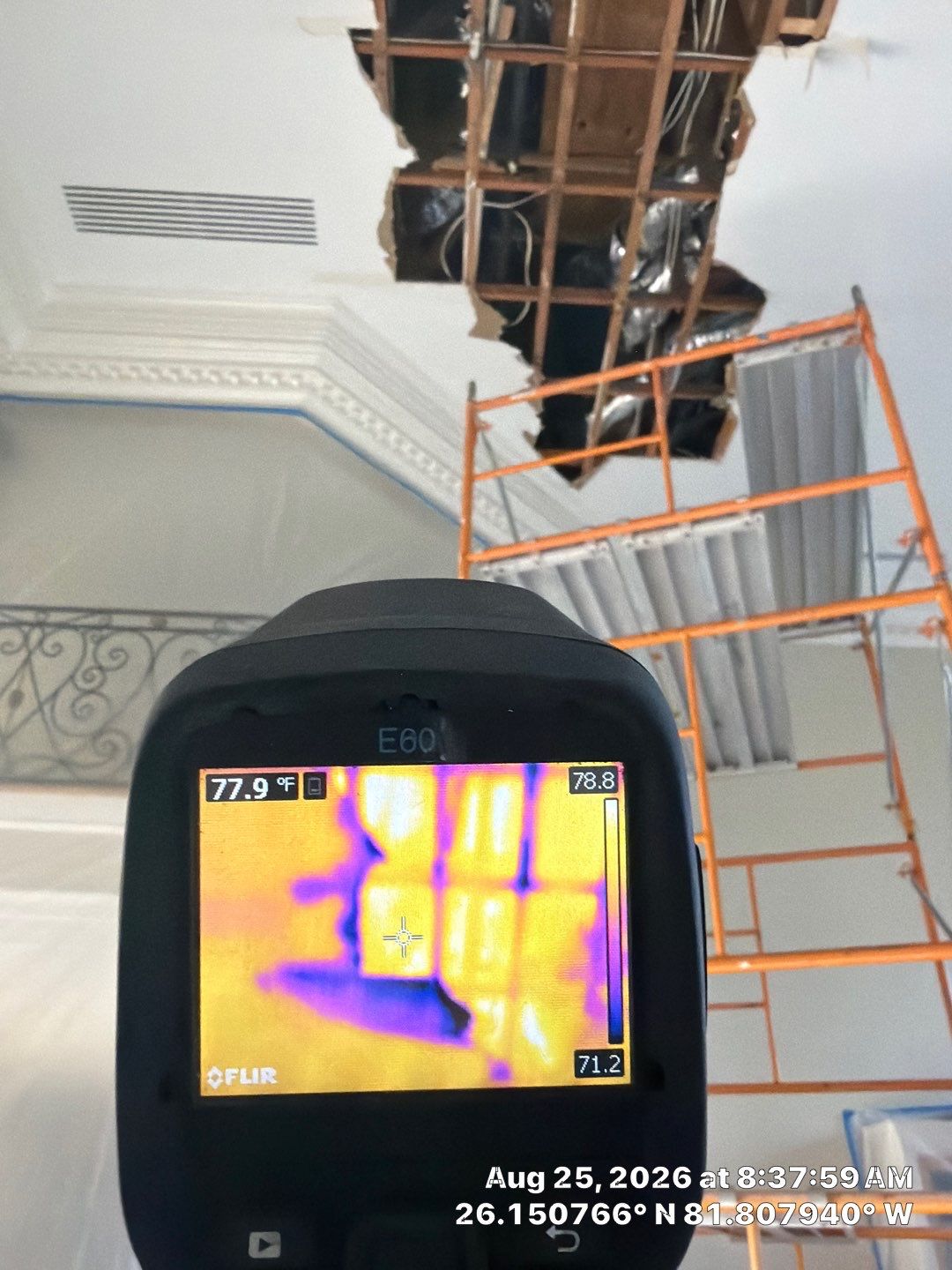 Moisture Detection and Structural Water Damage Restoration in Naples by Microscope