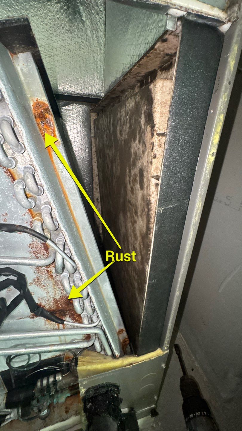 Air Duct and Dryer Vent Cleaning in Orlando by Hygienic Air, Inc