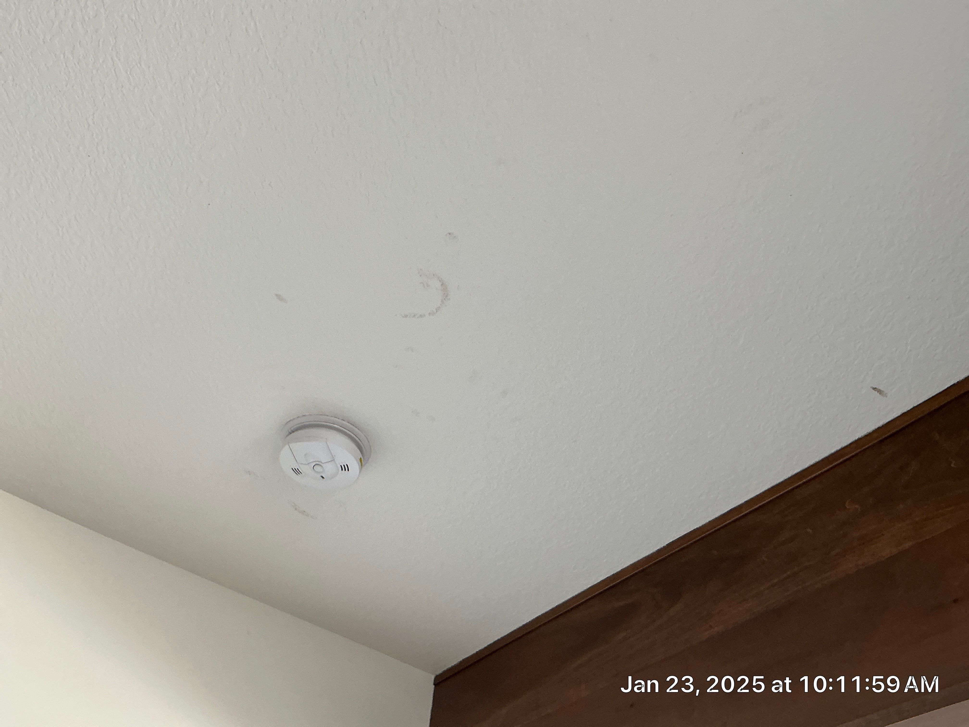 Project in Huxley by Midwest Paint LLC
