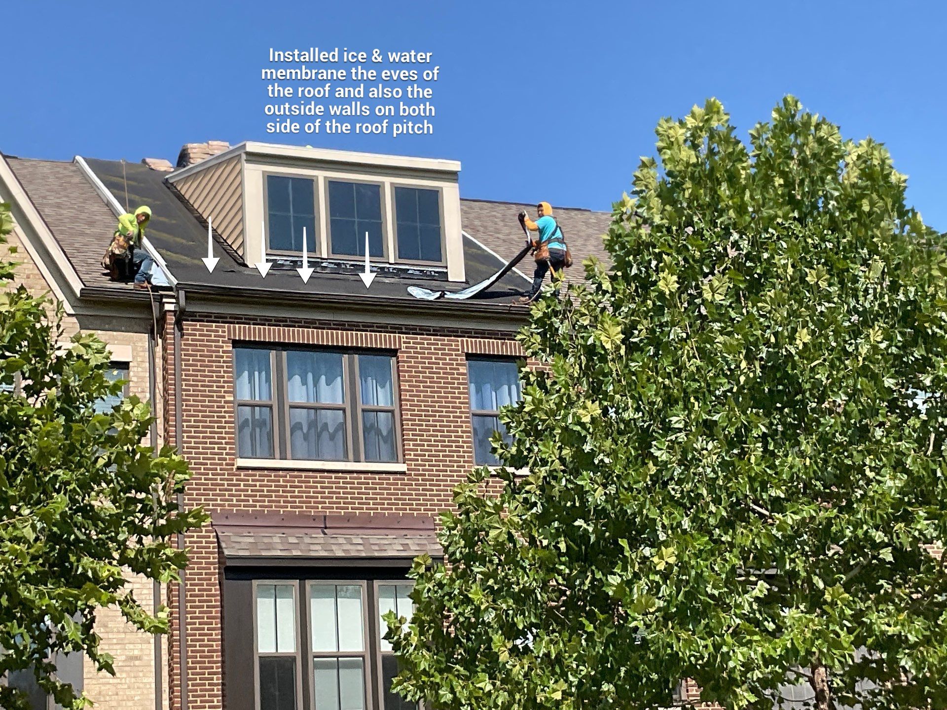 New Shingle Roof Installation  by Alpha Design Services