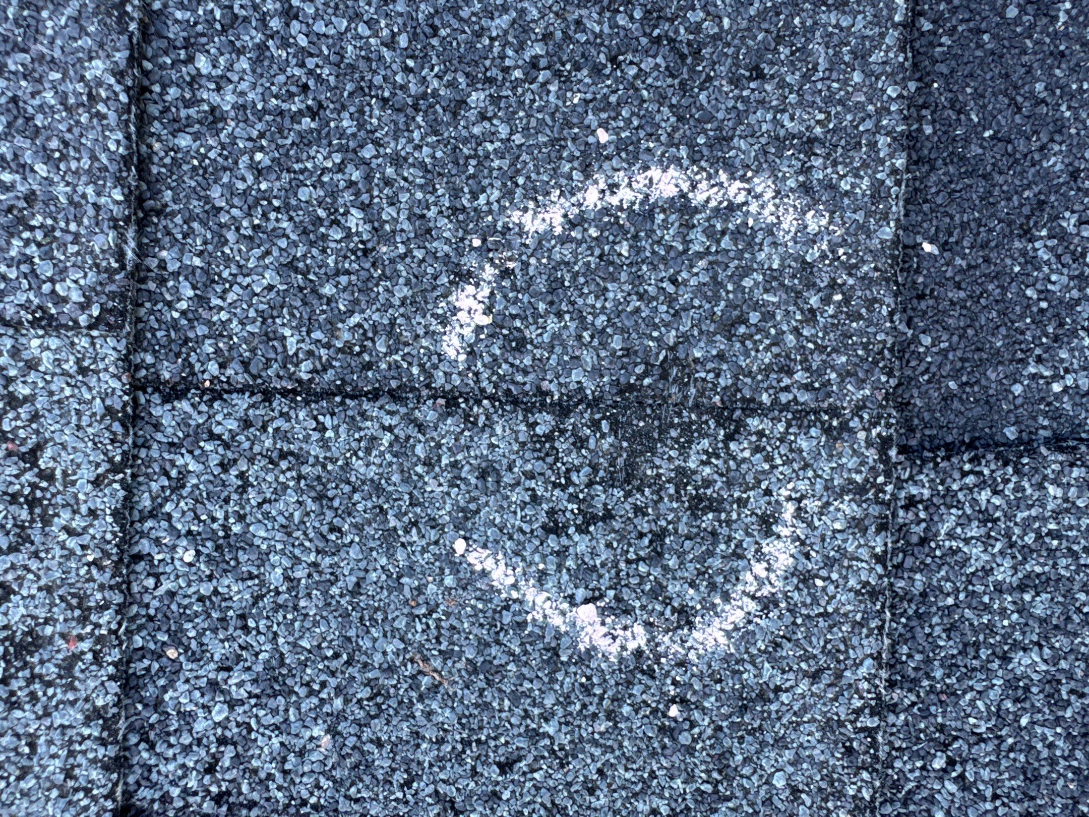 Chyleen Feagin by Tru-Built Roofing
