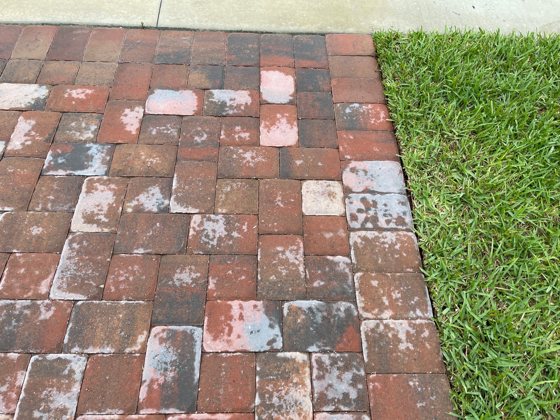 Pavers using Concrete Sealant and PolySand by DuraSeal