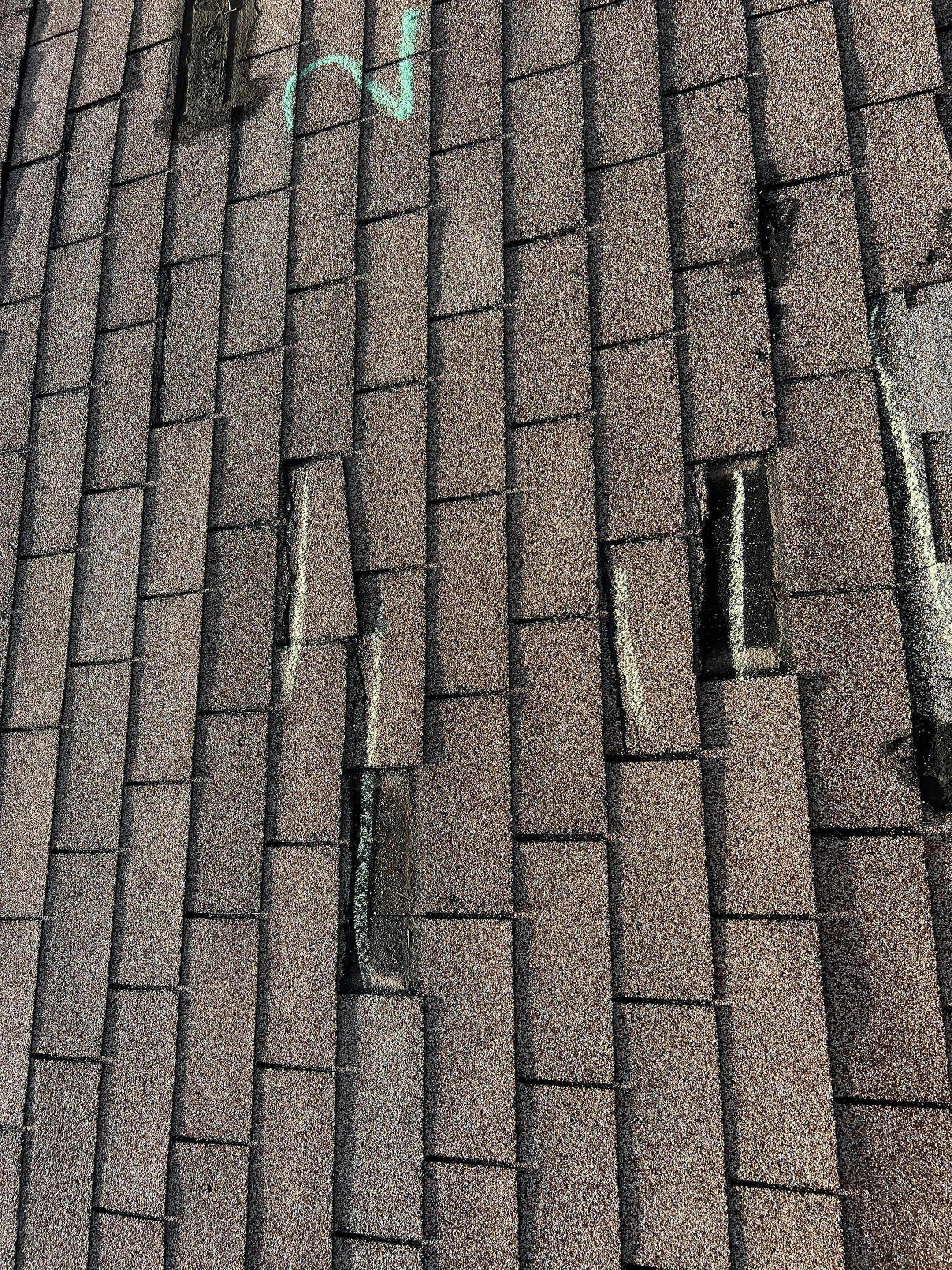 Lucy's New Roof & Solar R&R by All Storm Roofing & Construction