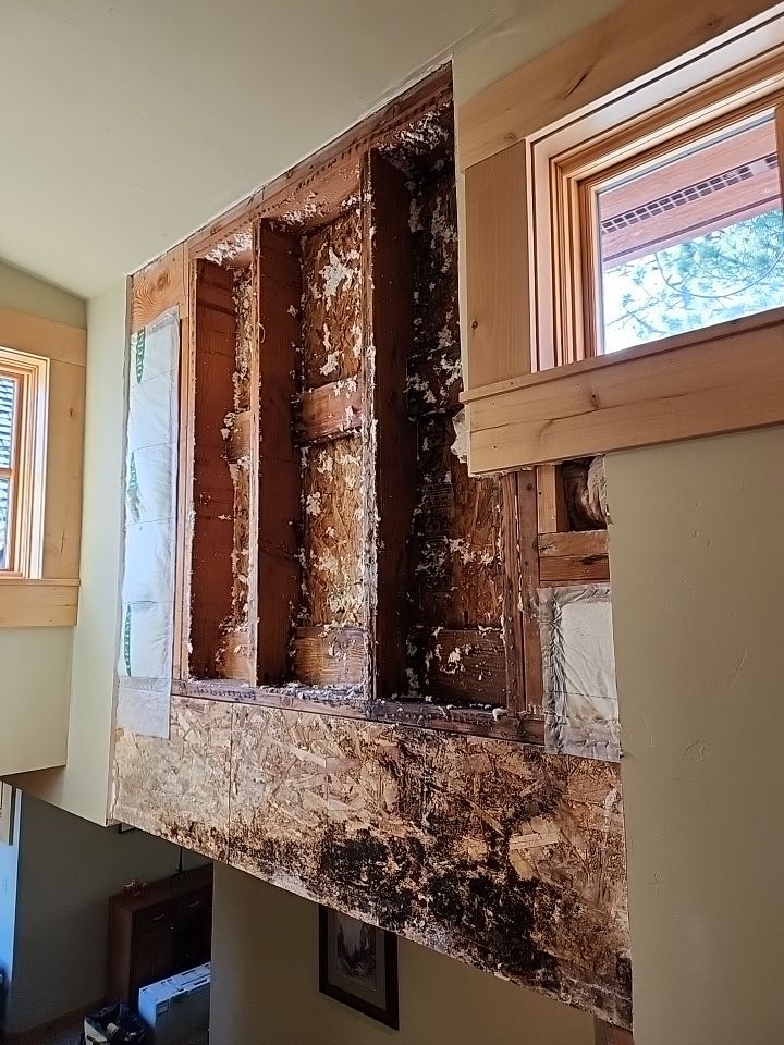 Water Damage Remediation and Generator Shed by The Tahoe Tradesman