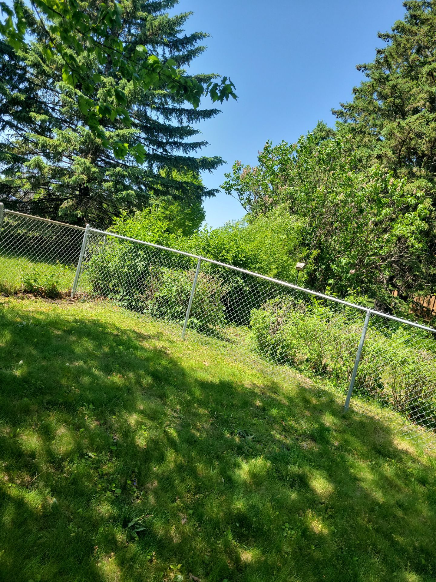 Project in Cedar Falls by Perfect Picket Fence and Stain