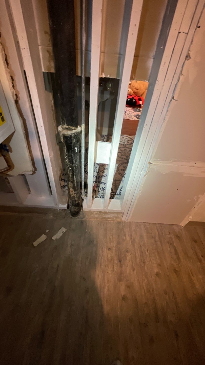 Mold Remediation by Accountable Home Services