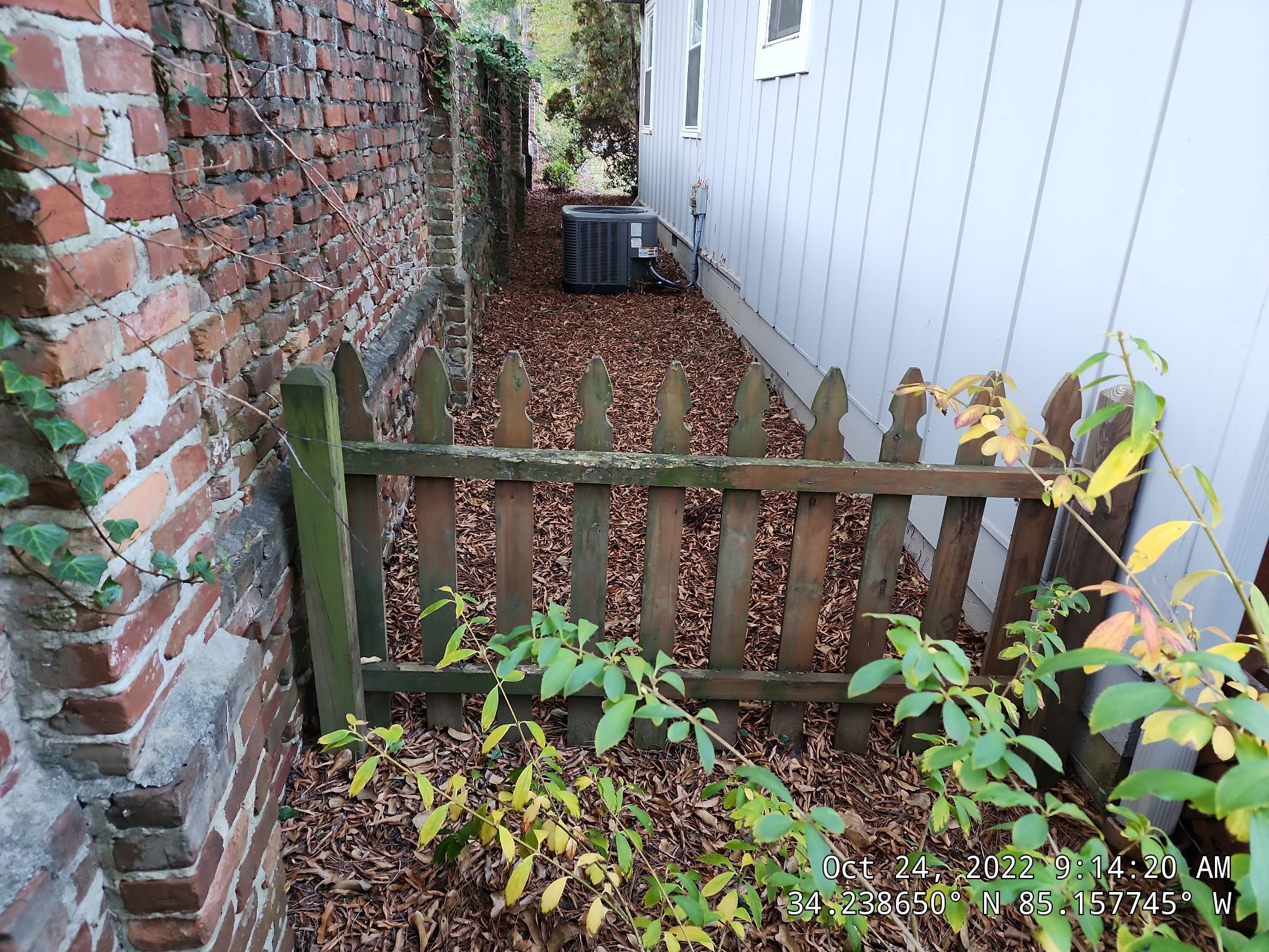 6' Wood Privacy with Dog Eared Pickets by Titans of Timber Fence & Stain