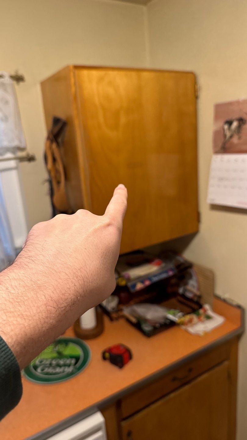 Project in Richmond by NuLead Construction Inc