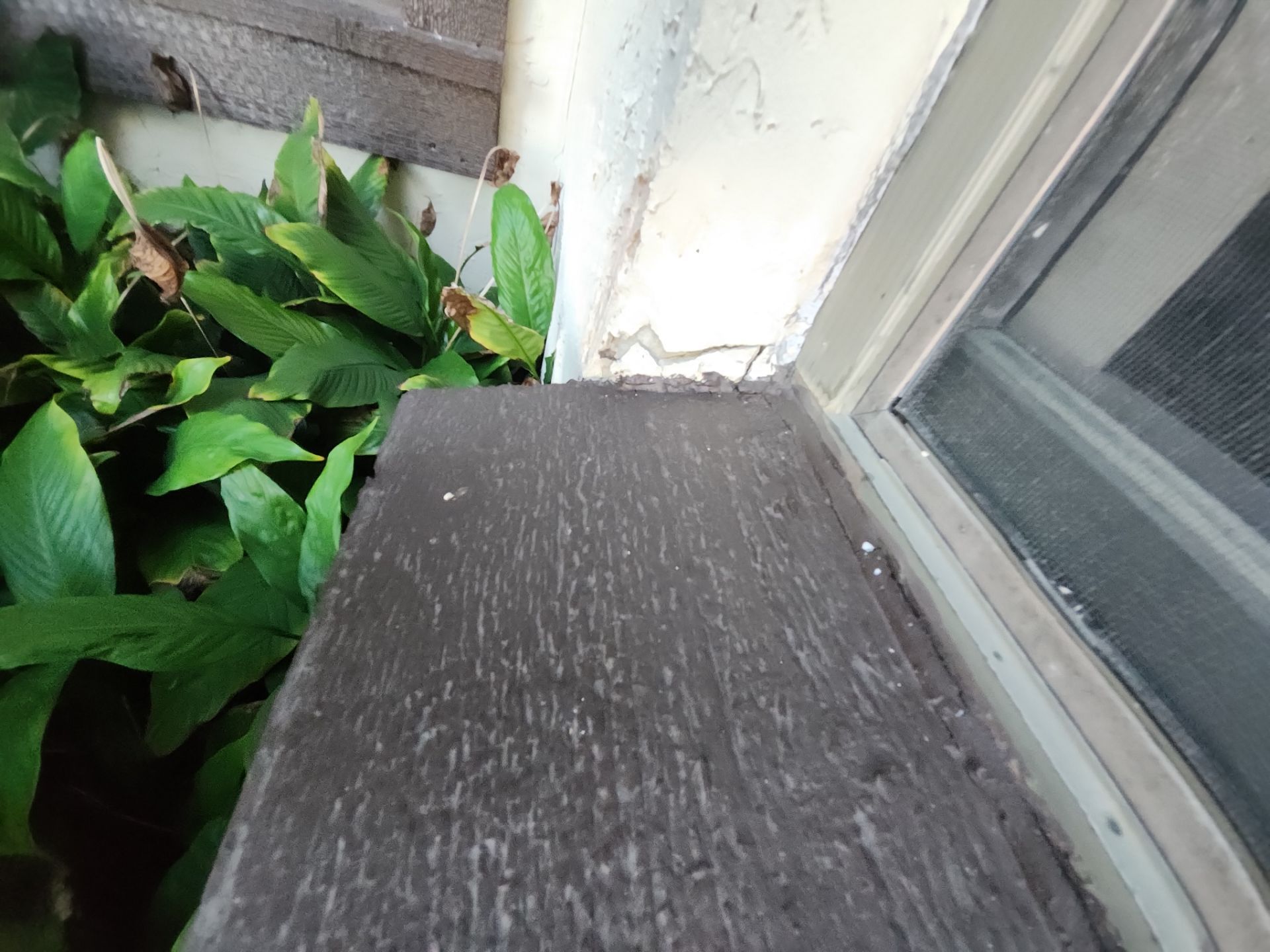 Project in Nokomis by Sunbelt Home Solutions