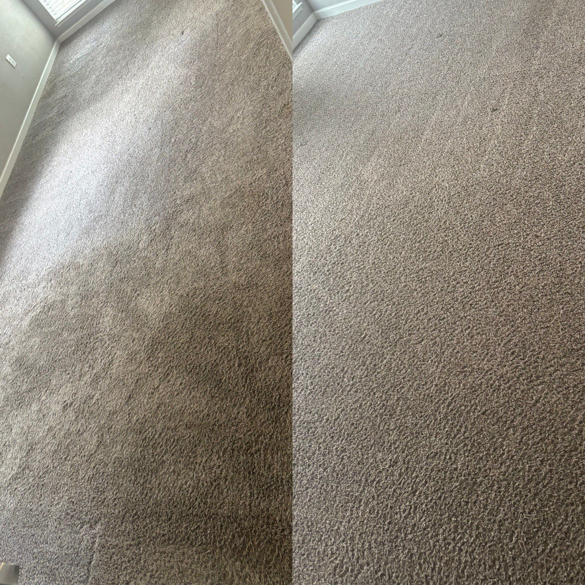 the service shown is professional carpet cleaning restoring the cleanliness and appearance of the carpeted area