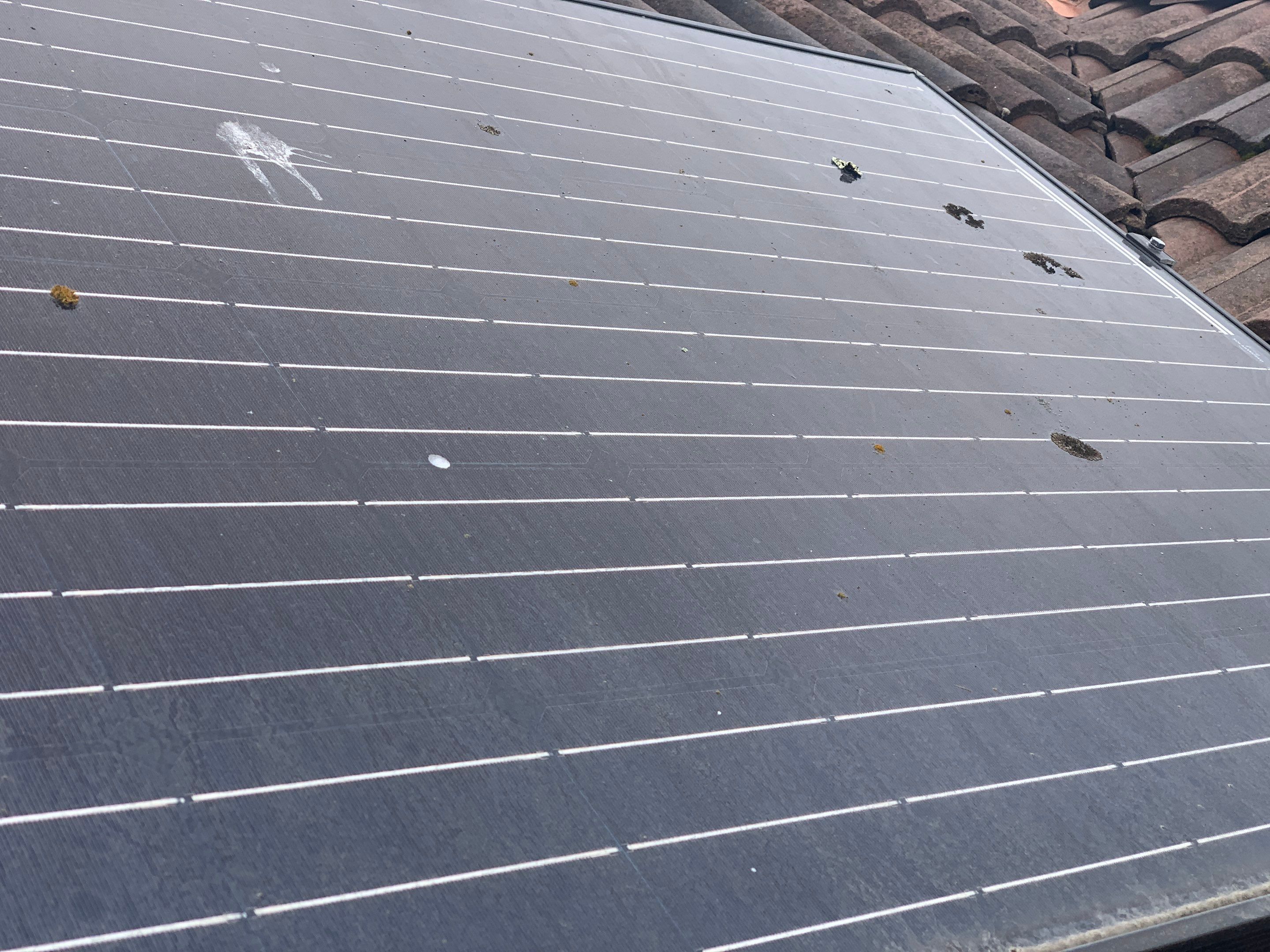 Rahul Prasad by SpotFree Window Cleaning