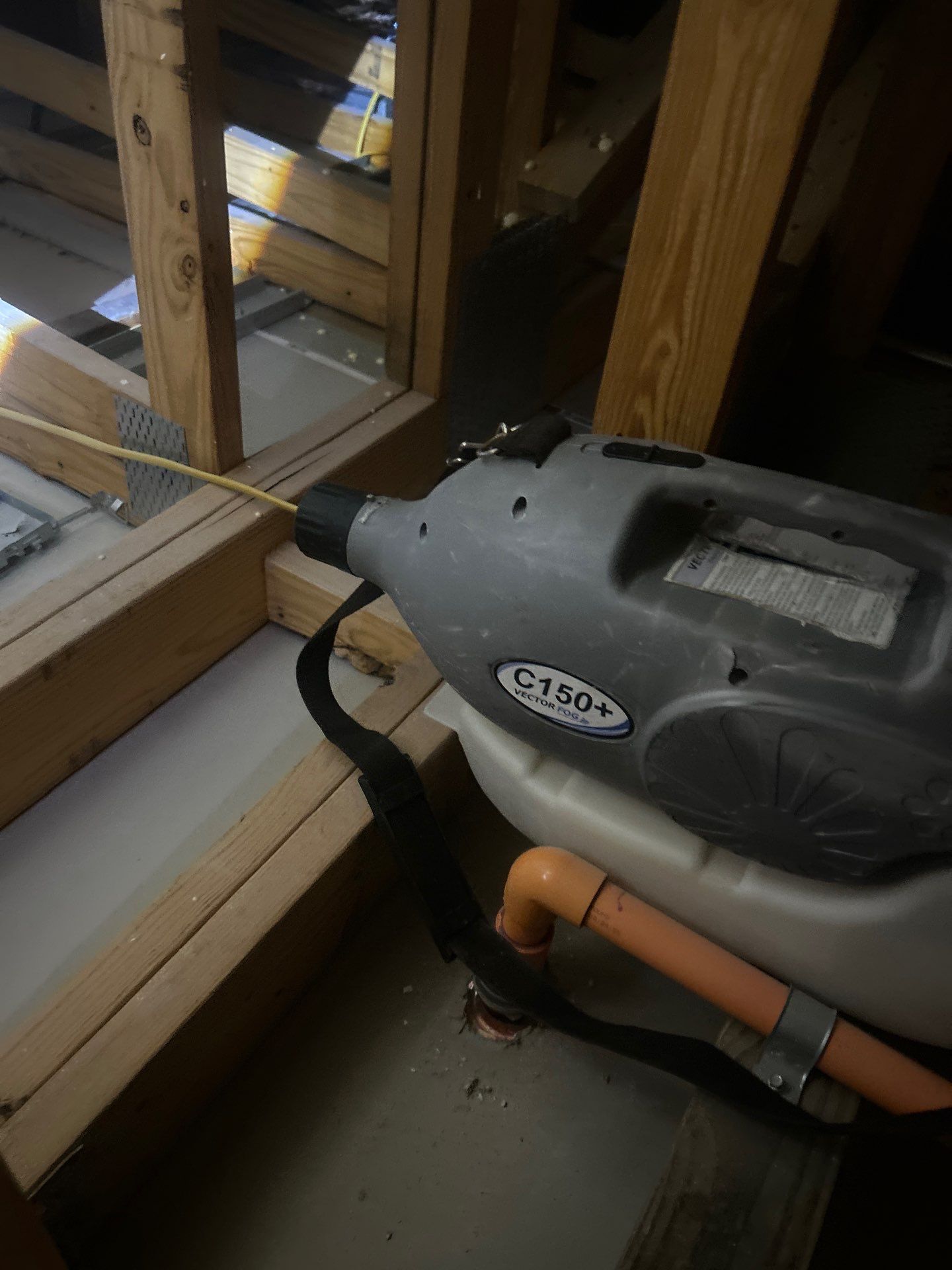 Mold Damage Restoration by Ampm Restoration Services