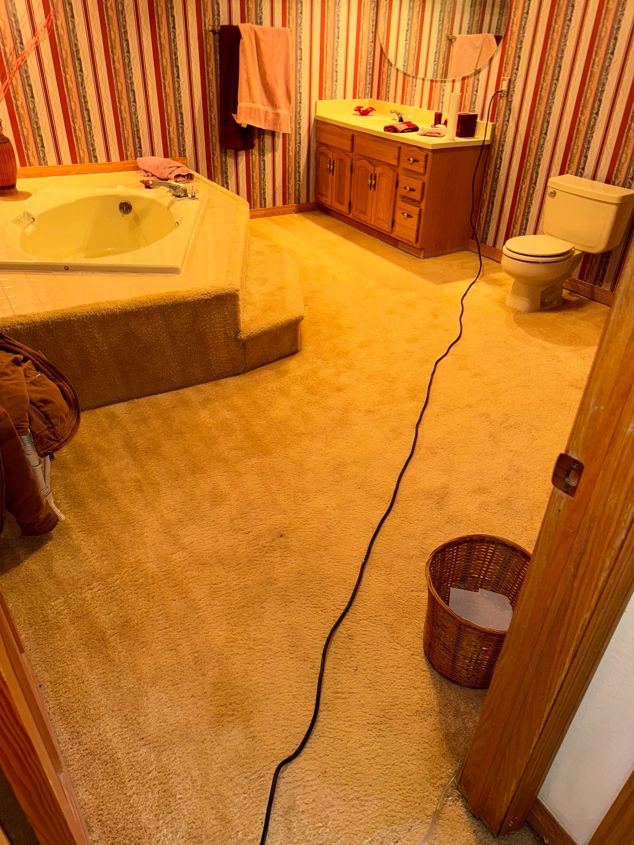 Water Damage in Wheat Ridge, CO by Alpha Restoration 