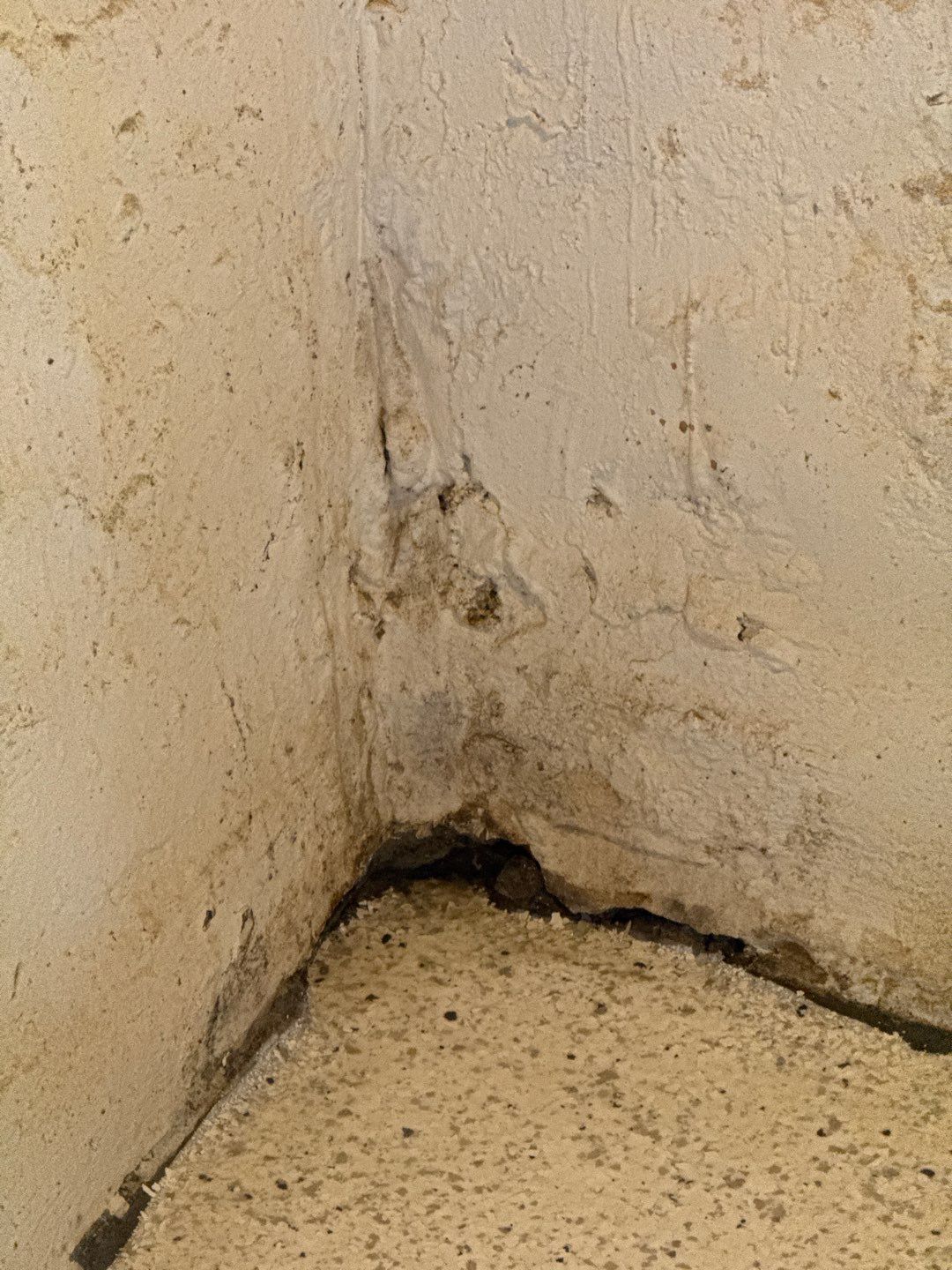 Drain Tile, Sump Pump & Discharge in South Minneapolis by Waterproofing Northeast