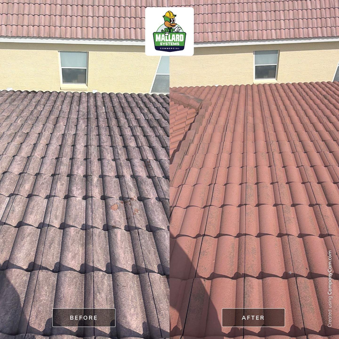Residential Tile Roof Cleaning and Exterior House Wash in Winter Springs by Mallard Systems