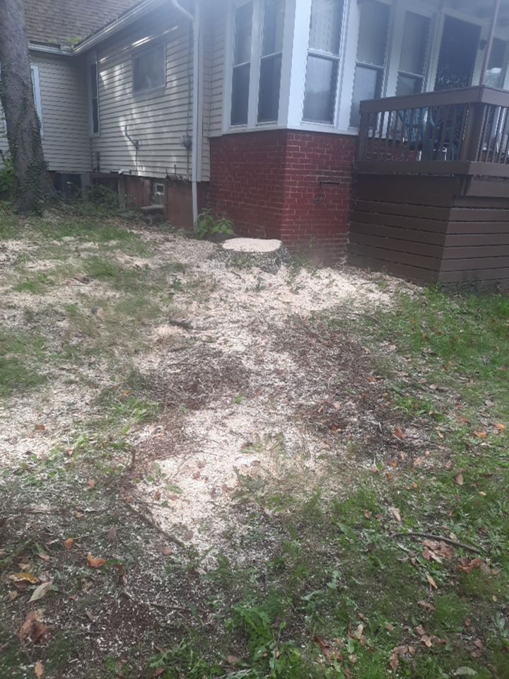 Tree Removal using Tree Removal by Mike Jones & Sons Tree Service LLC 