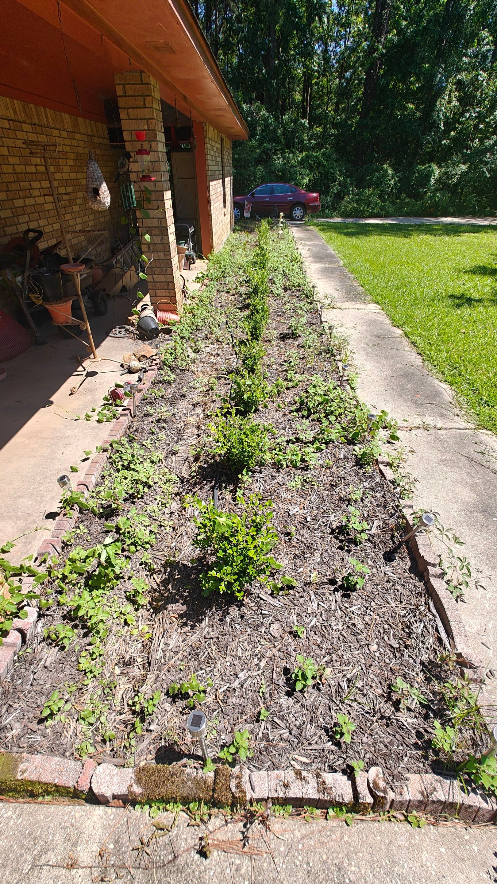 Bi Weekly Landscaping/ Weeding  by College Bros Outdoor services