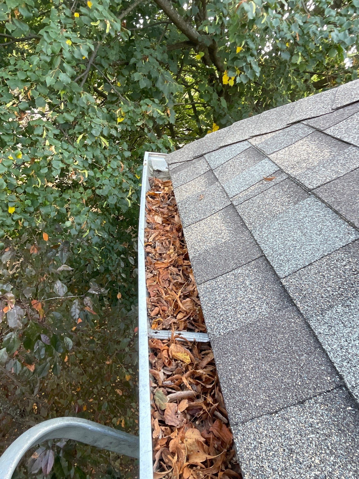 Commercial gutter cleaning Schaumburg & Hoffman Estates, IL before photo with filled gutters