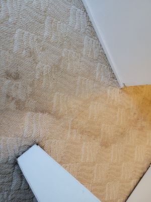 Post Dry Out, Water Stain Removal