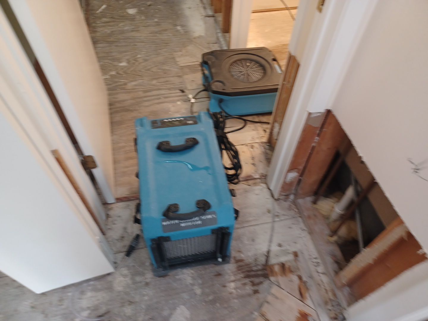 Project in Commerce Twp by EzDry Water Mitigation & Property Restoration