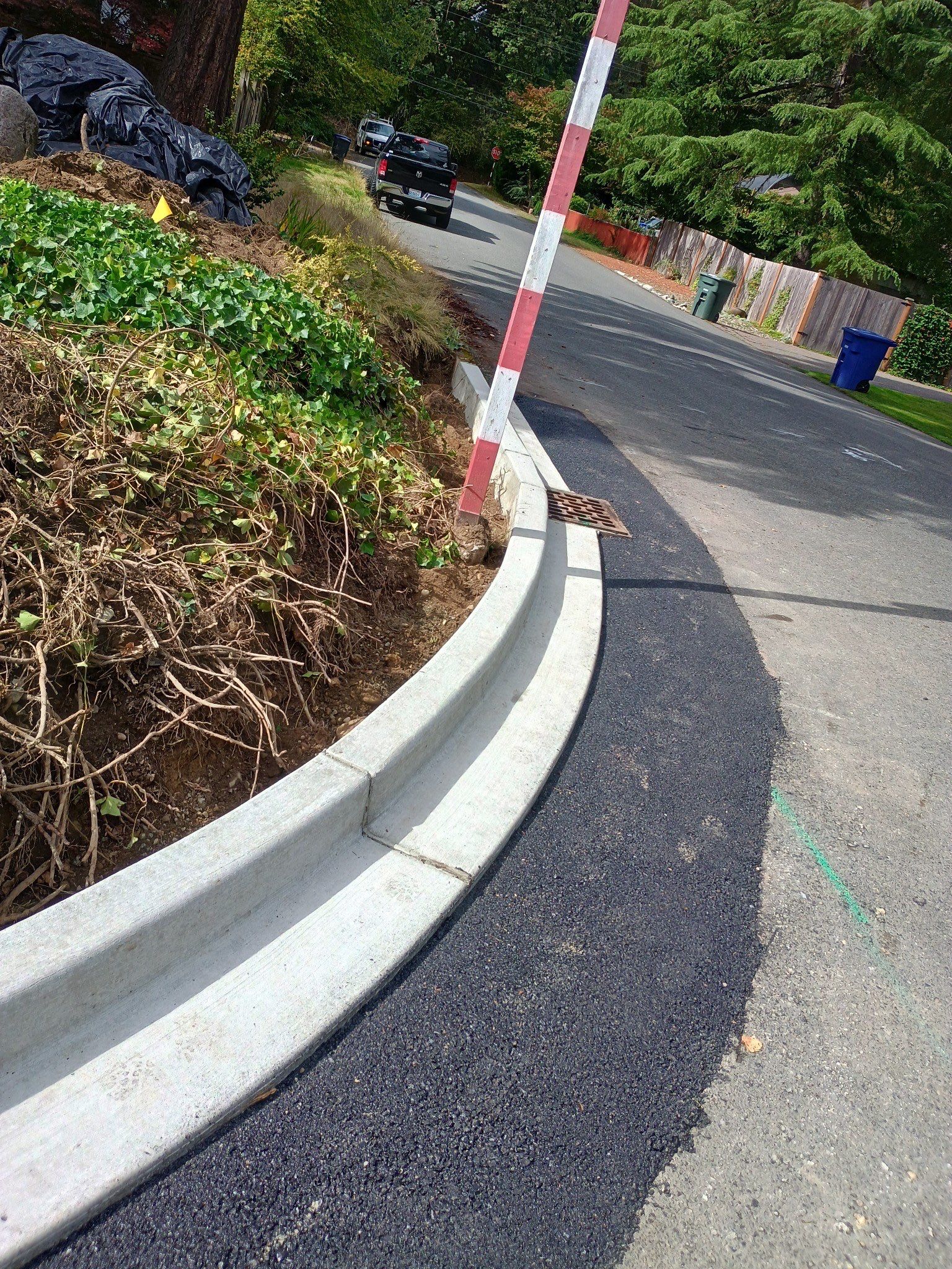 Concrete Curbing & Asphalt Patch Repair | Bellevue  by Jireh Asphalt & Concrete Inc 