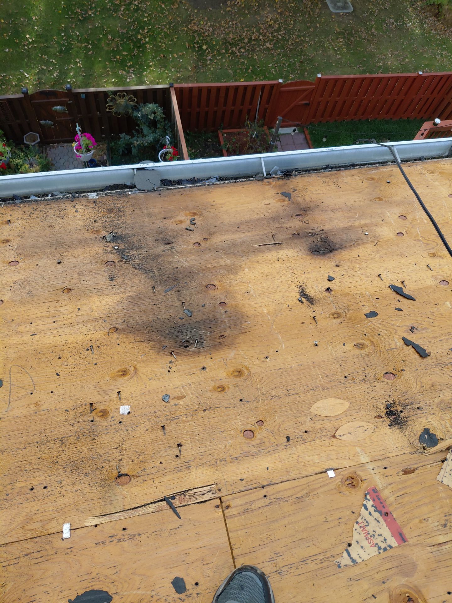 Alexandria : Residential Roof Replacement with CertainTeed Landmark Pro in Max Def Weathered Wood  by RM Banning, Inc.