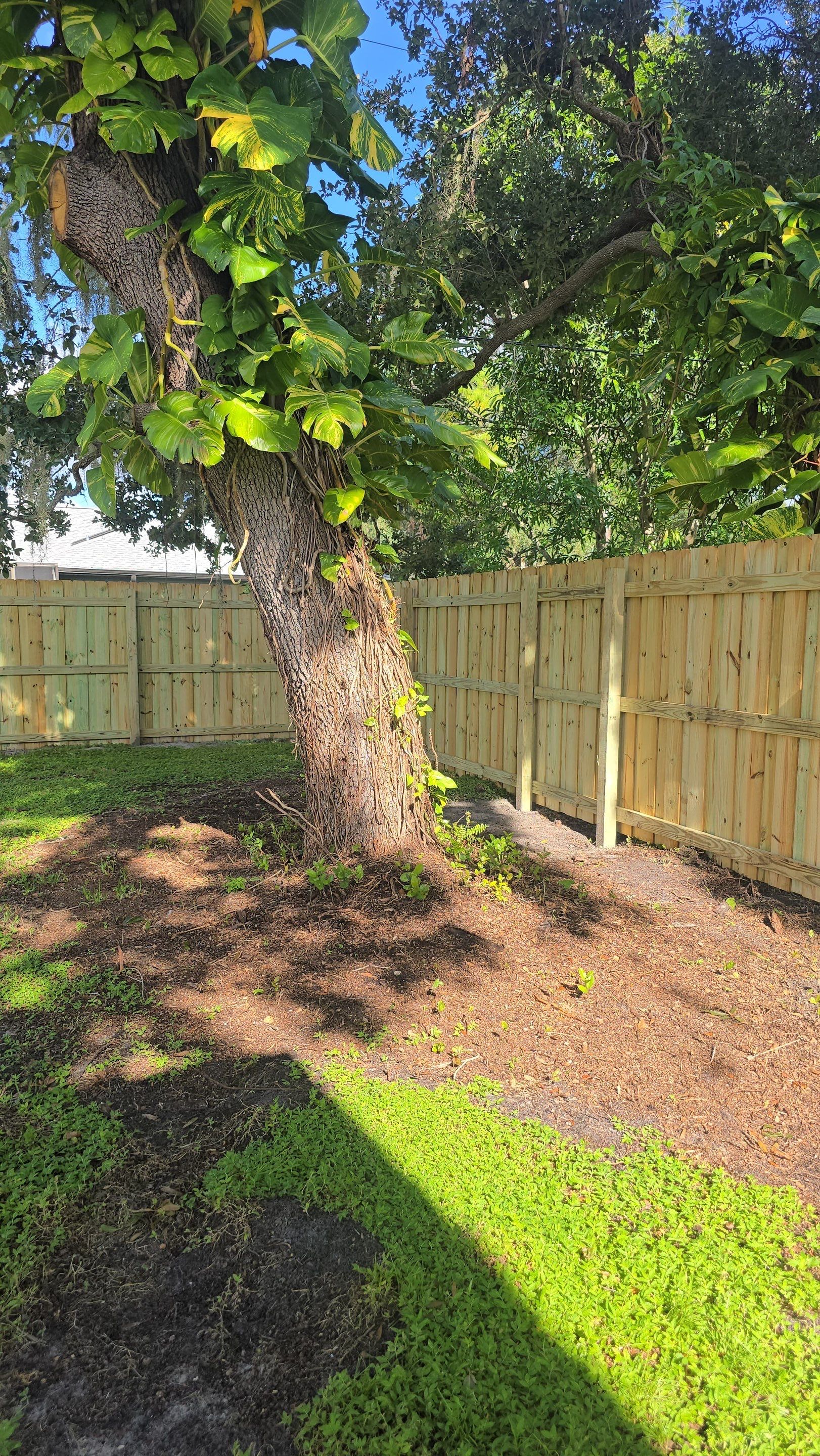 Pressure-Treated Wood Privacy Fence and Gate Installation in North Port by True Fence LLC