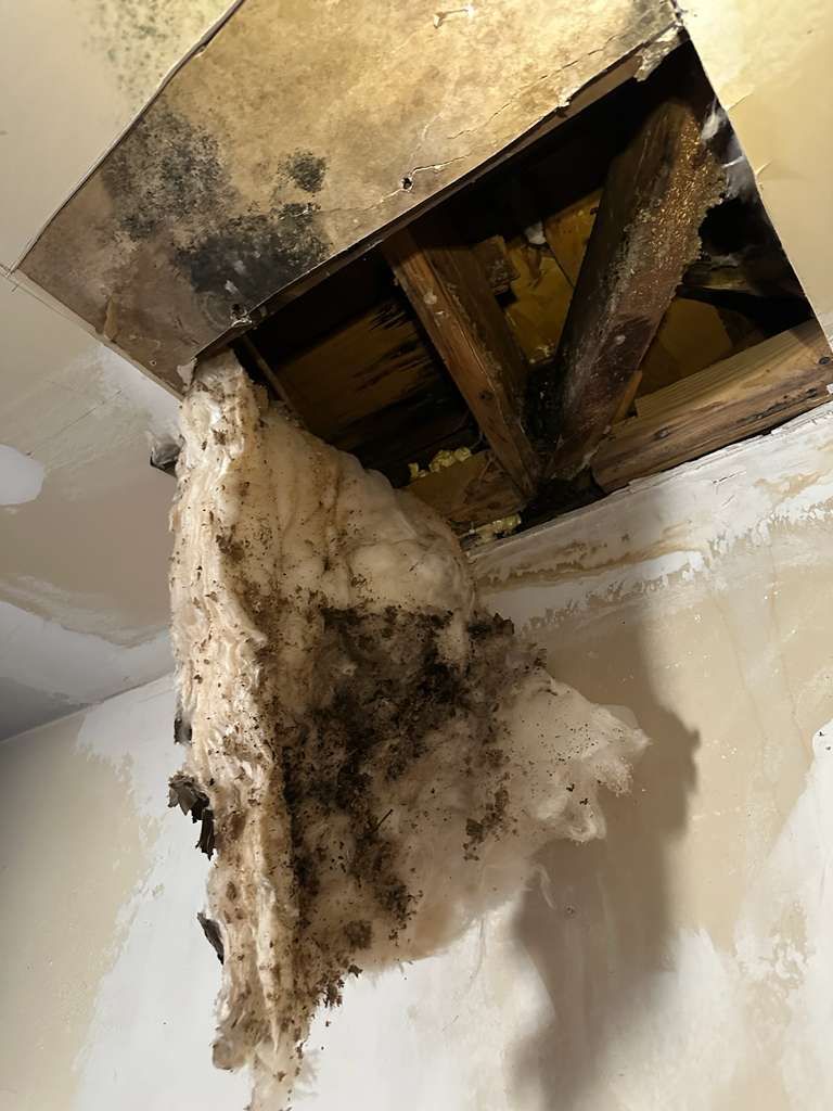 Roof Leak Repair + Fascia/Drip Edge & Gutter Reset - Belleville, IL by Legendary Services Company LLC.