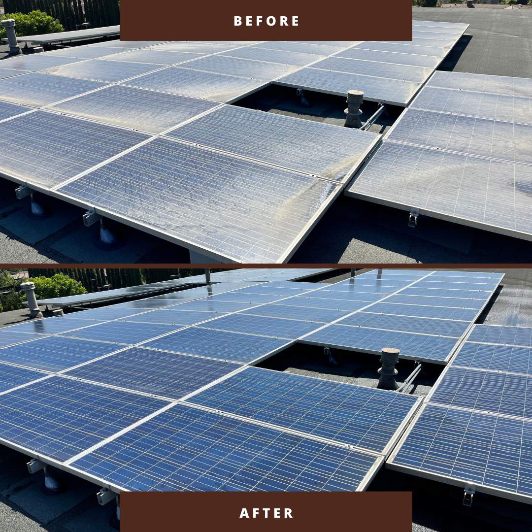 Residential Solar Panel Cleaning Before & After by Palm Coast Solar Cleaning