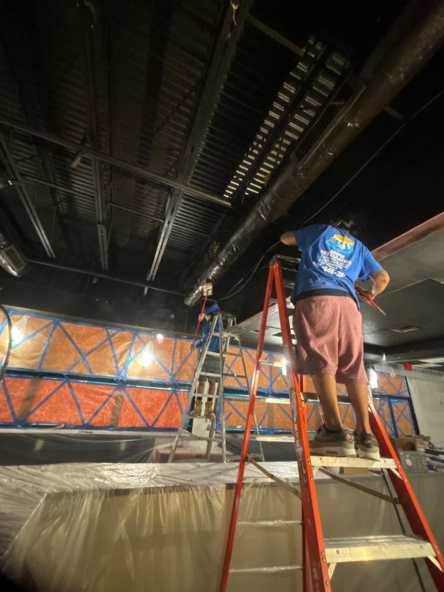 Commercial Building Mold Removal In Clearwater by Ampm Restoration Services