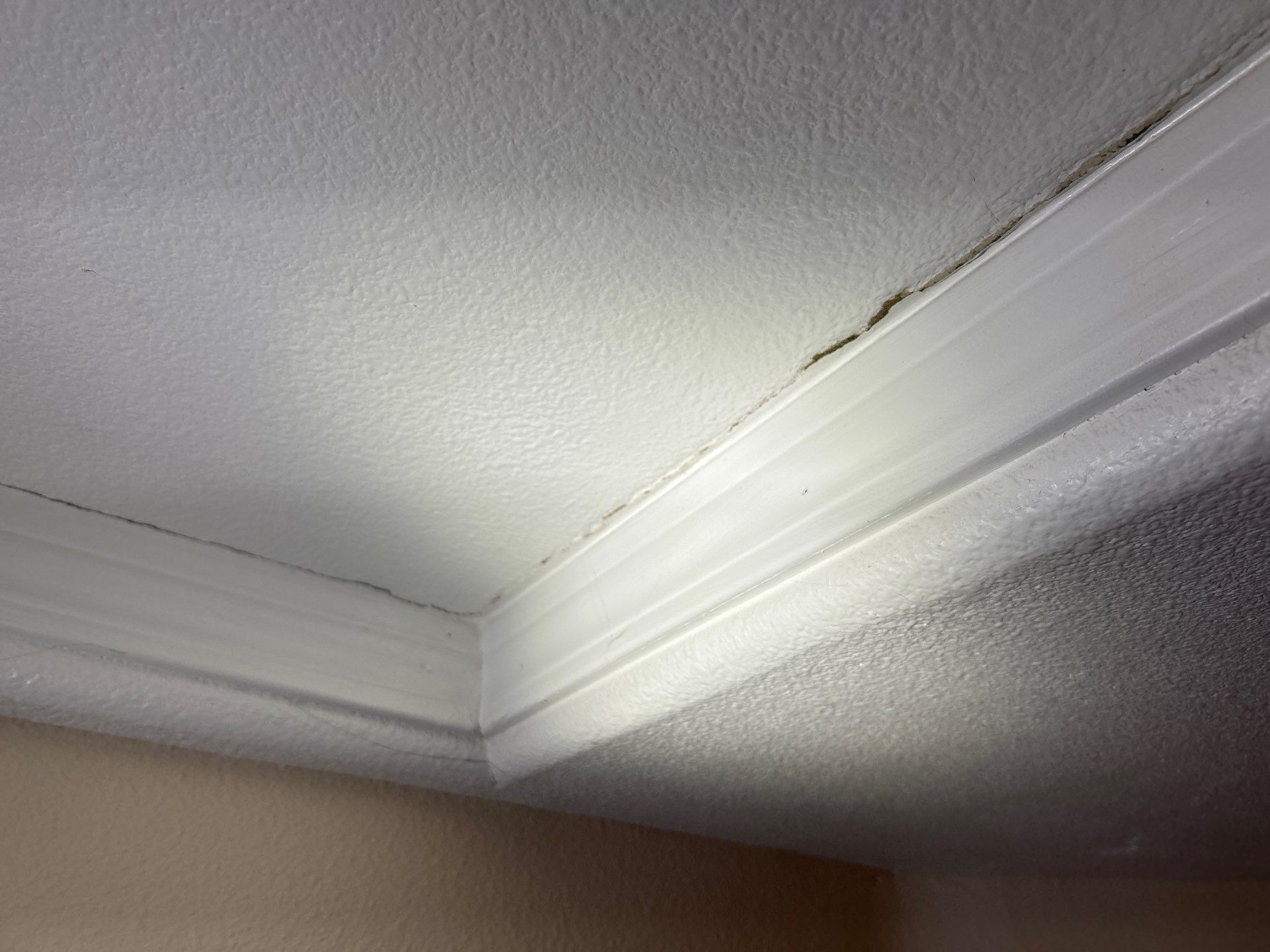 Emergency Leak Repair in Portland by Prodigy Roof Solutions