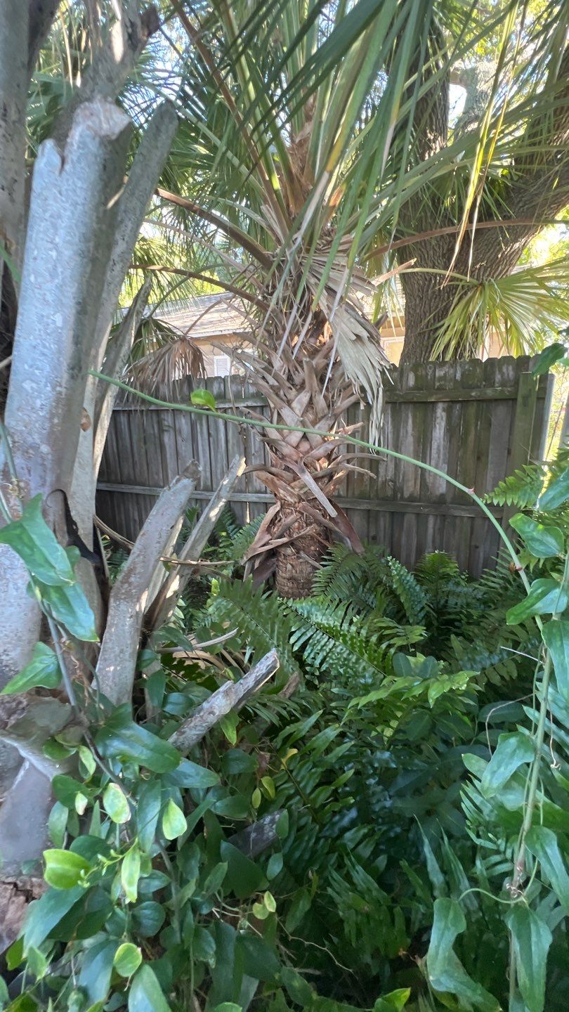 St. Petersburg 6ft. Tall Treated Board on Board by Asap fence and gates, LLC