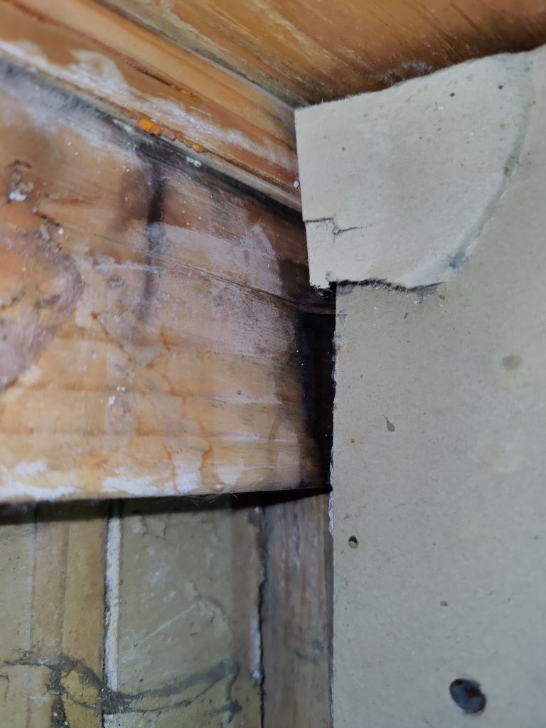 Water Damage by Accountable Home Services