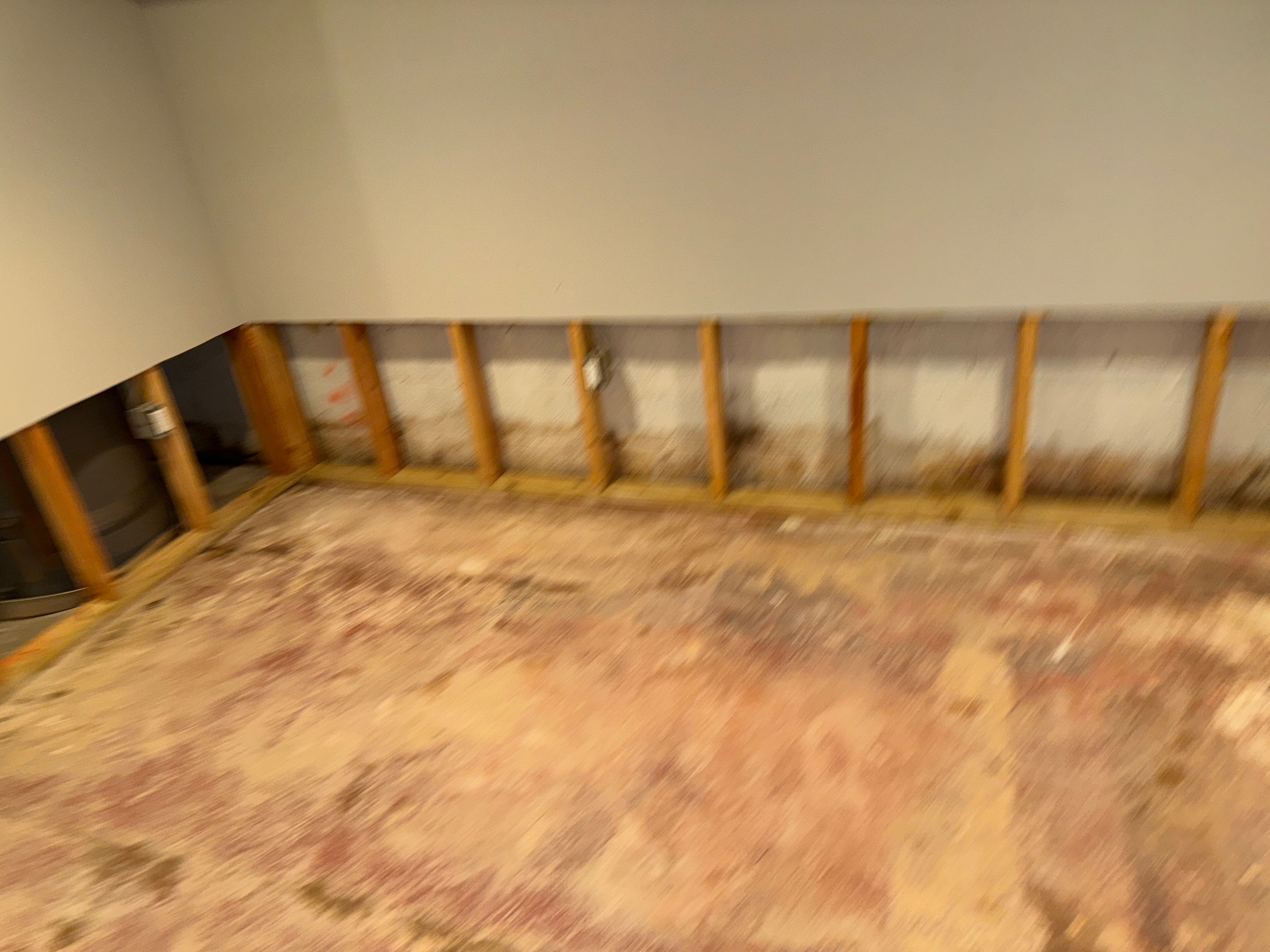 Interior French Drain Livingston NJ by Pure Service Pro, LLC 