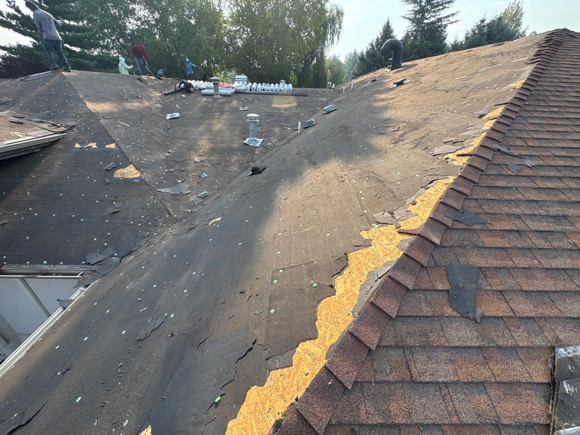 Boise Commercial Roof Replacement with Brown Architectural Shingles by Olive Roofing
