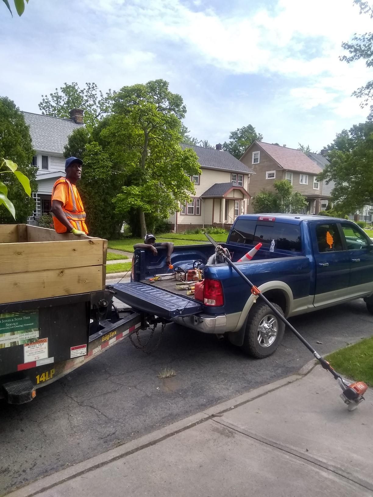 Tree Removal using Tree Removal by Mike Jones & Sons Tree Service LLC 