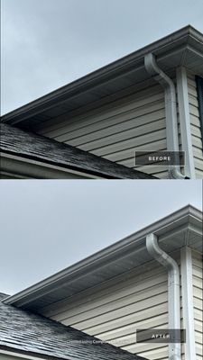 Project in Arlington Heights