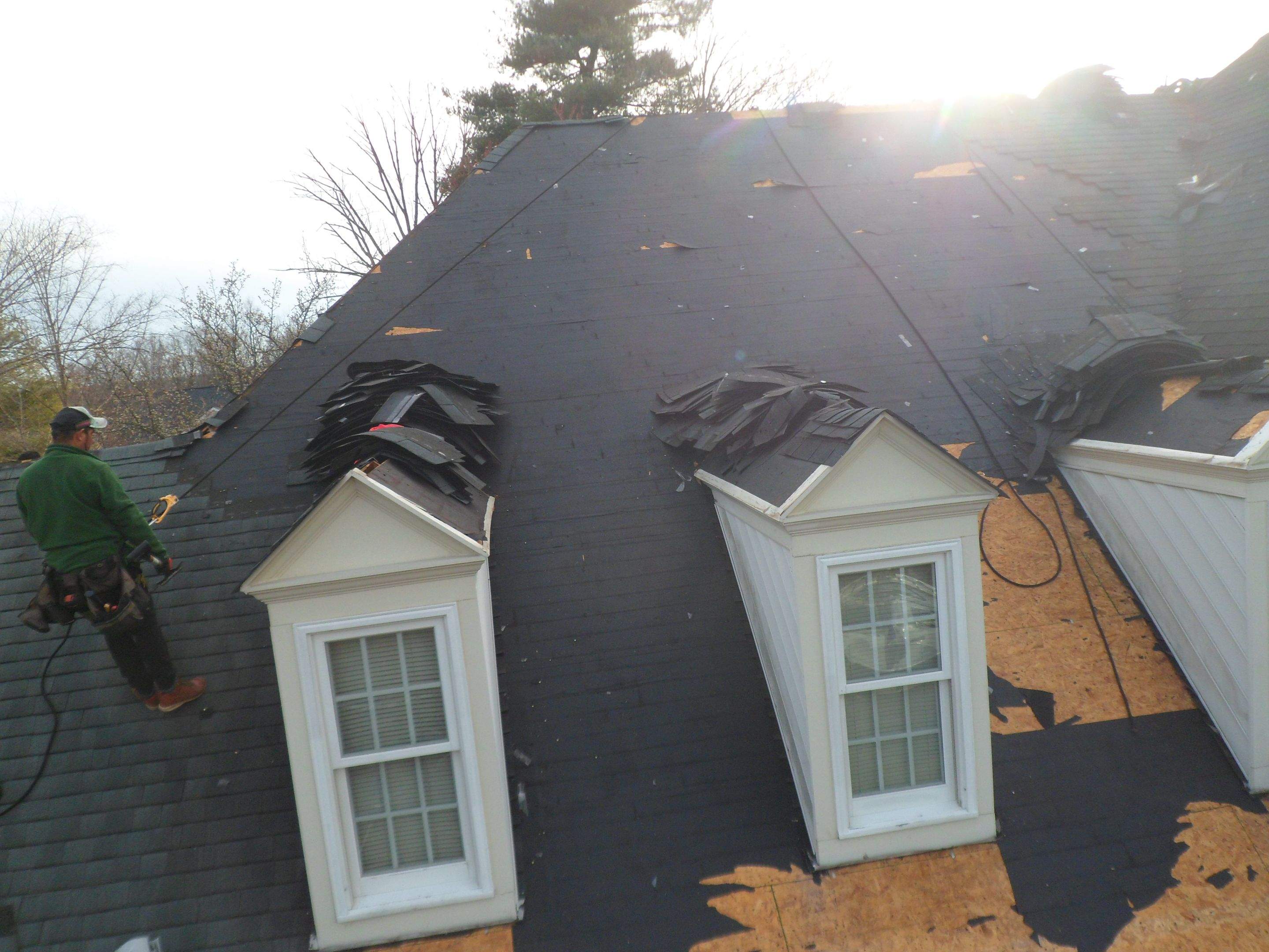 New Roof Installation & New Gutters and downspouts  by Alpha Design Services