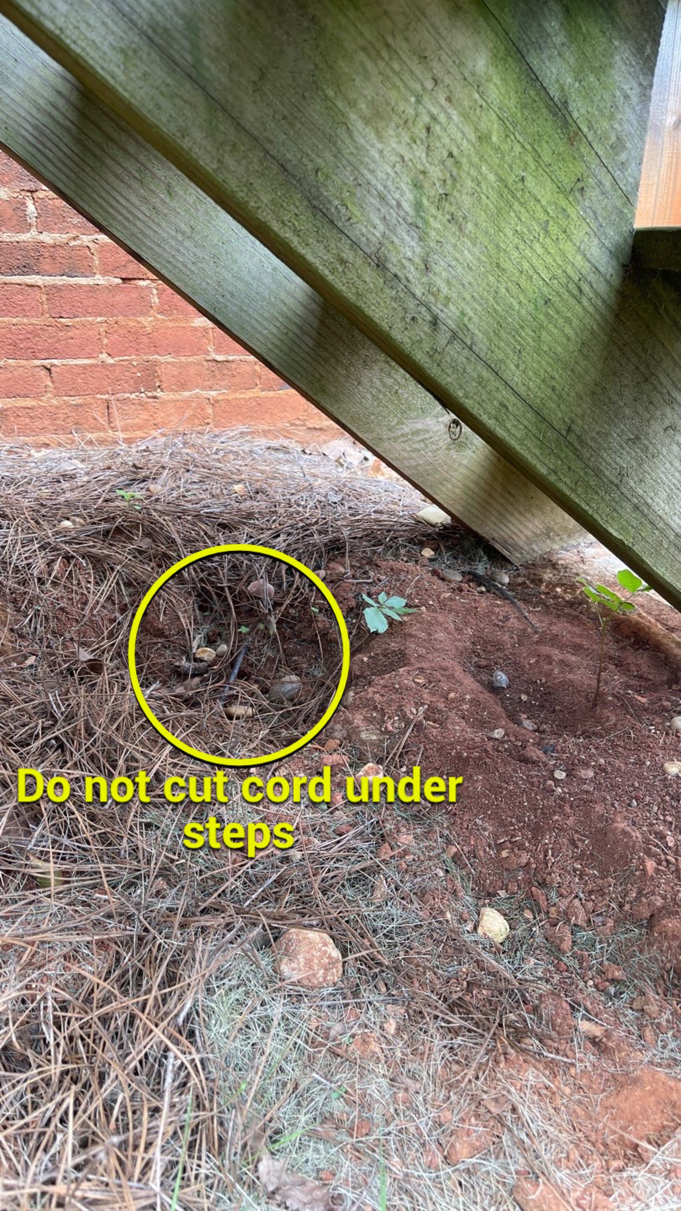 Shades Run - Deck by Pillar and Pine