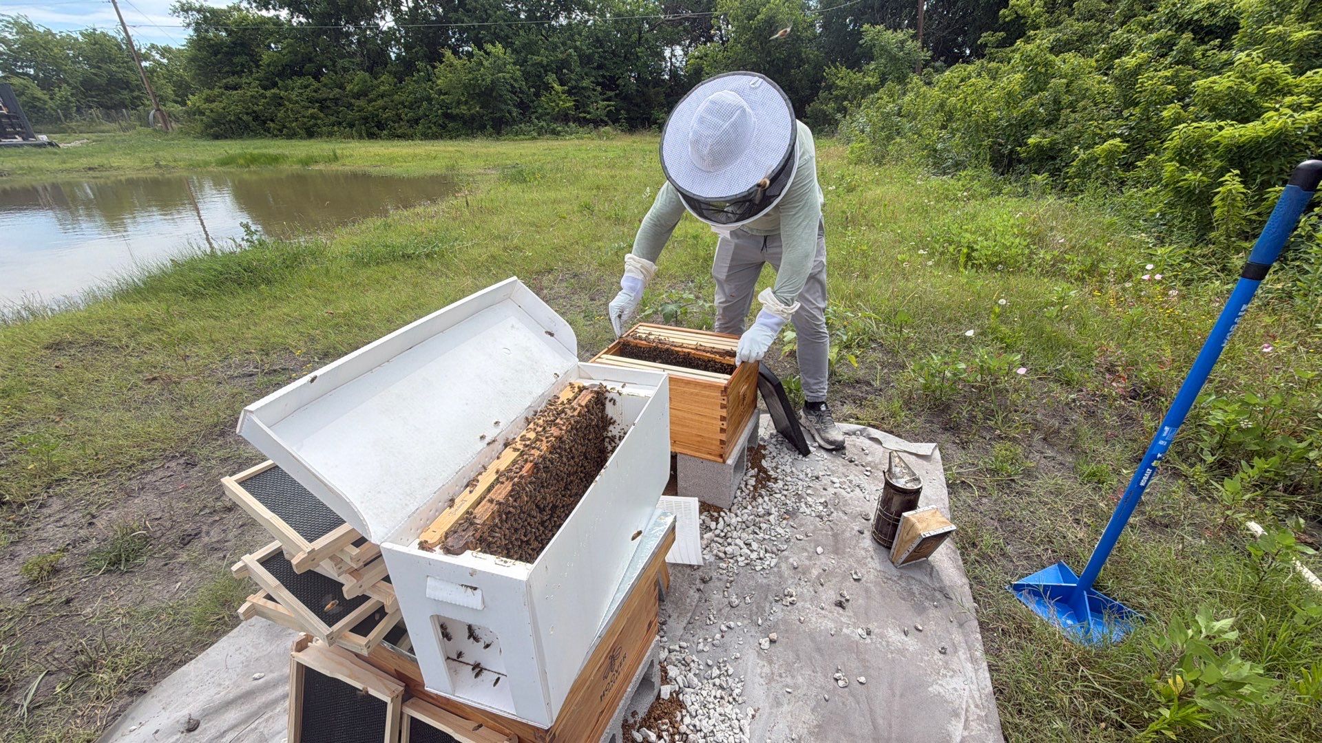 Hometown New Beek by Rockwall Honey Bee Company