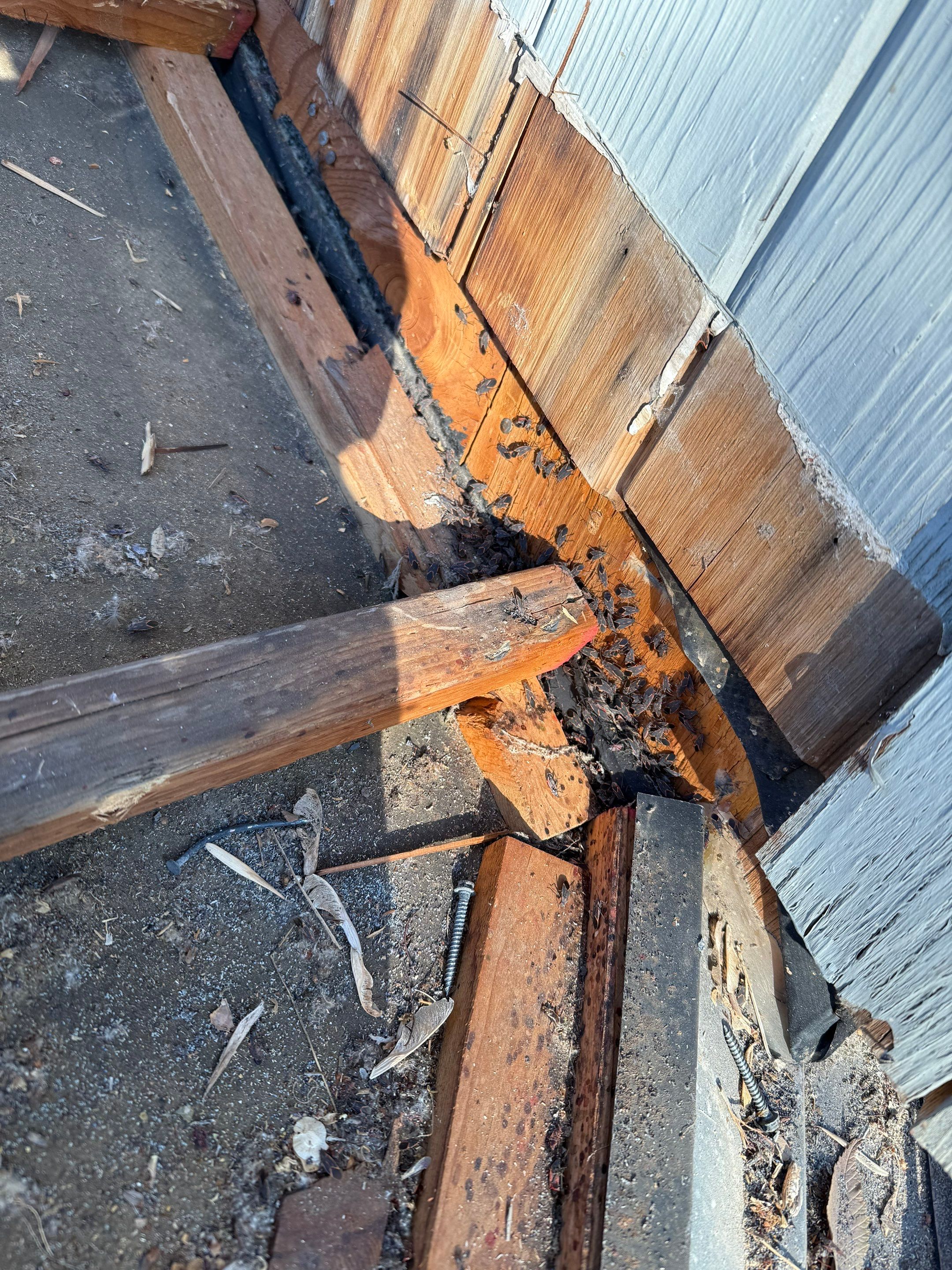 Roofing in Bountiful, UT by Go Pro Roofing