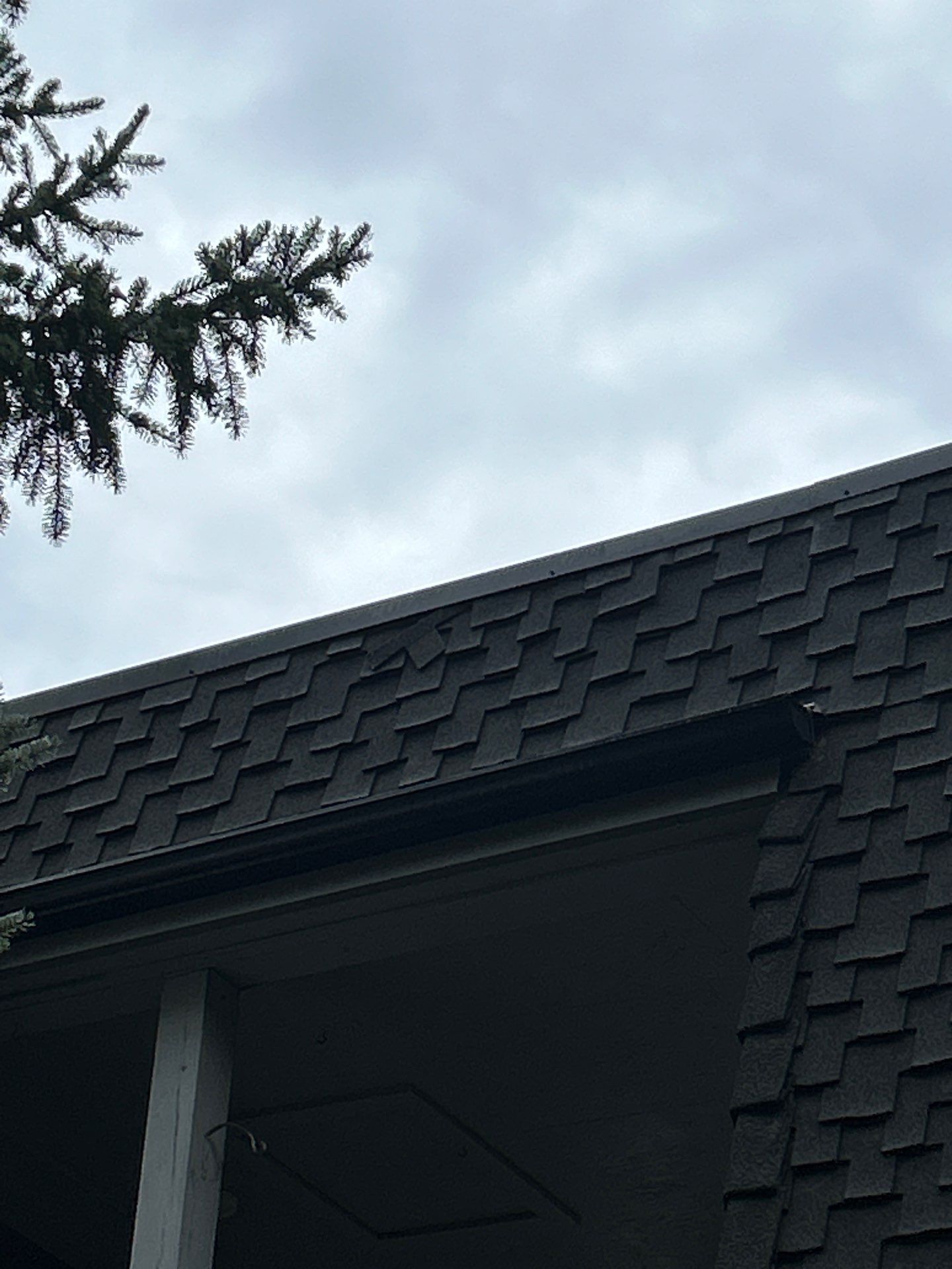 Project in Kirkland by Connolly Construction Company